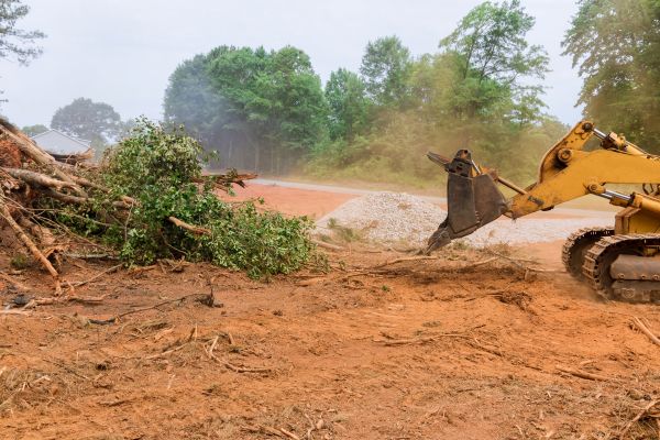 Forestry Mulching Service in Murphy