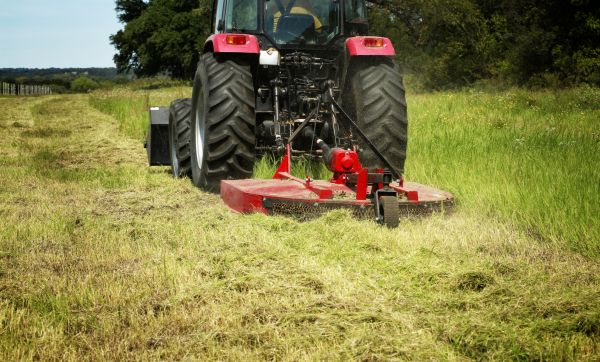 Brush Clearing Service in Murphy