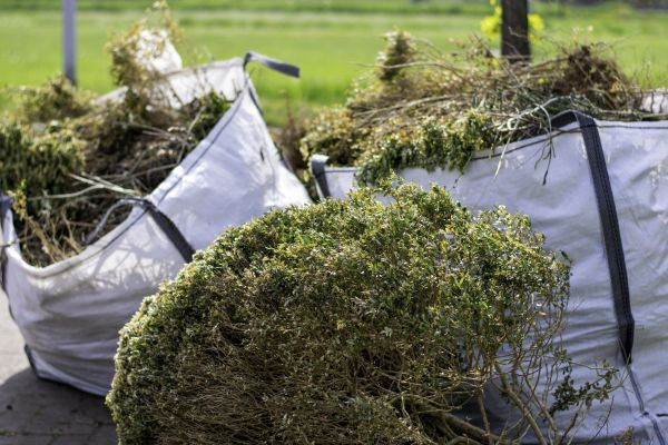 Bushes Clearing in Murphy