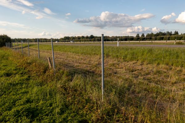 Property Line Clearing in Murphy
