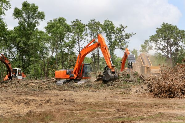 Commercial Lot Clearing in Murphy