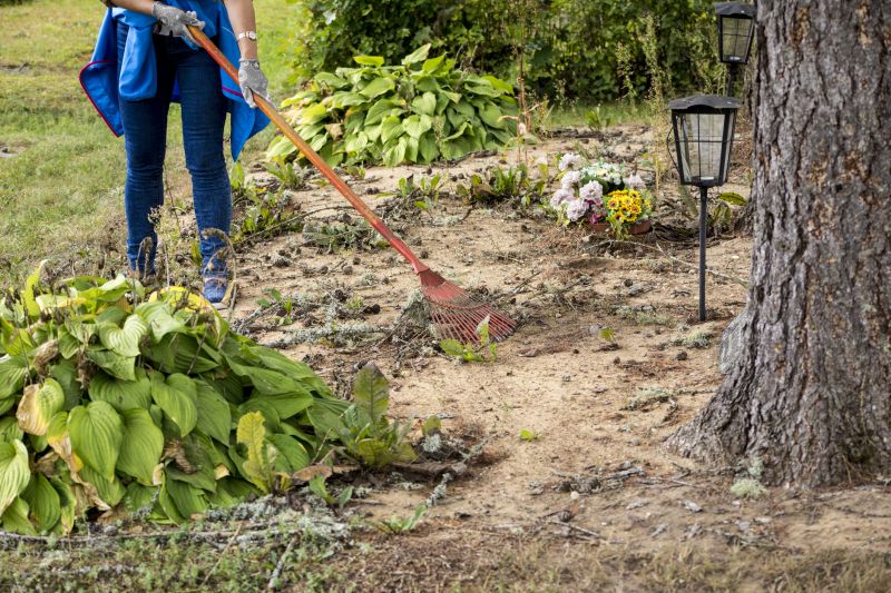 Land Clearance Service